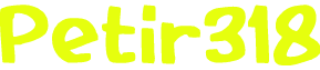 Petir318